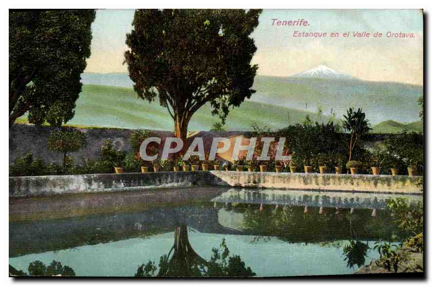 CPA Tenerife Estanque en el Vallee de Orotova 