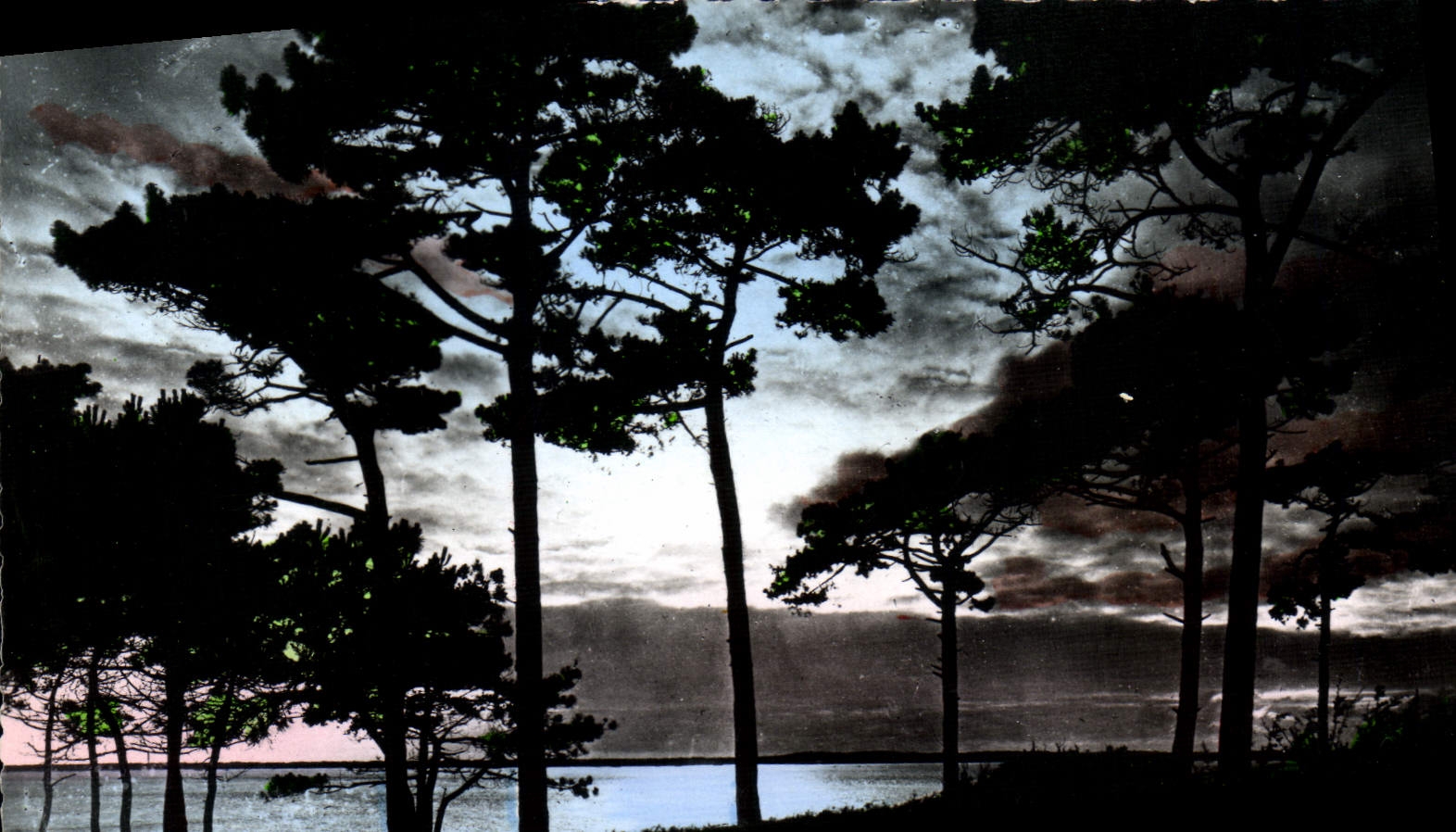 Bassin d'Arcachon — Coucher de Soleil — RENAUD & BUZAUD, Bordeaux