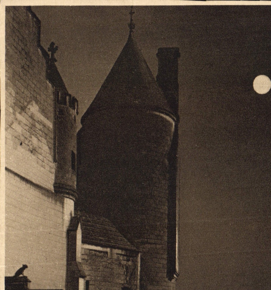 CPA Chateaux de la Loire Loches Clair de lune sur le Logis du Roi 