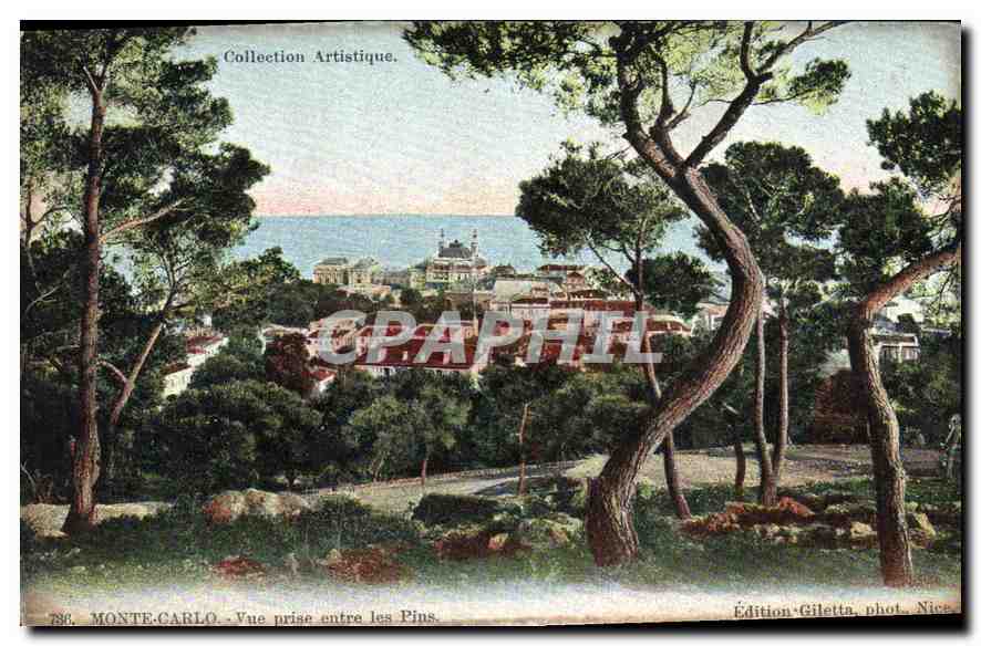 MONTE-CARLO - Vue prise entre les Pins — Édition Giletta, phot. Nice, n° 786