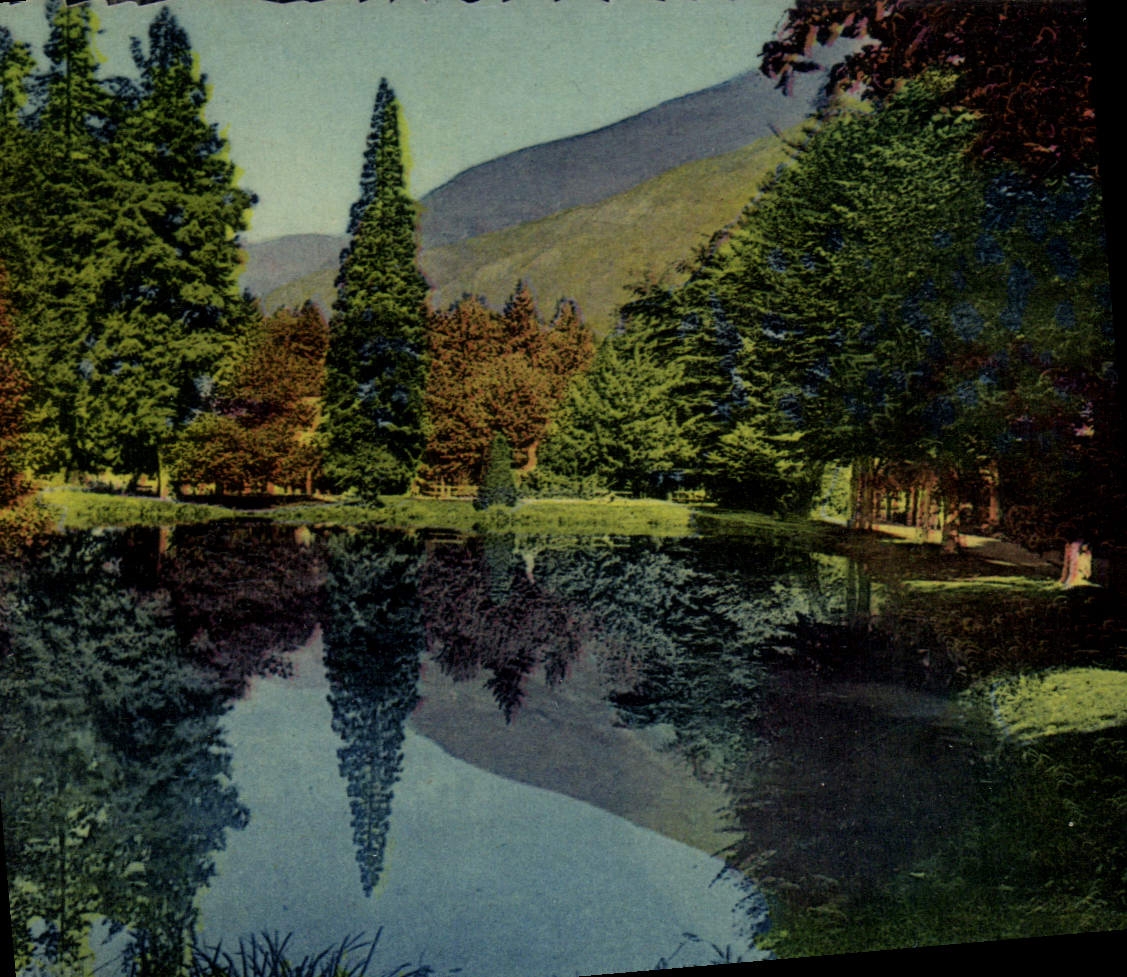 CPA Luchon Hte Gar Le Parc de l'Etablissement Thermal 