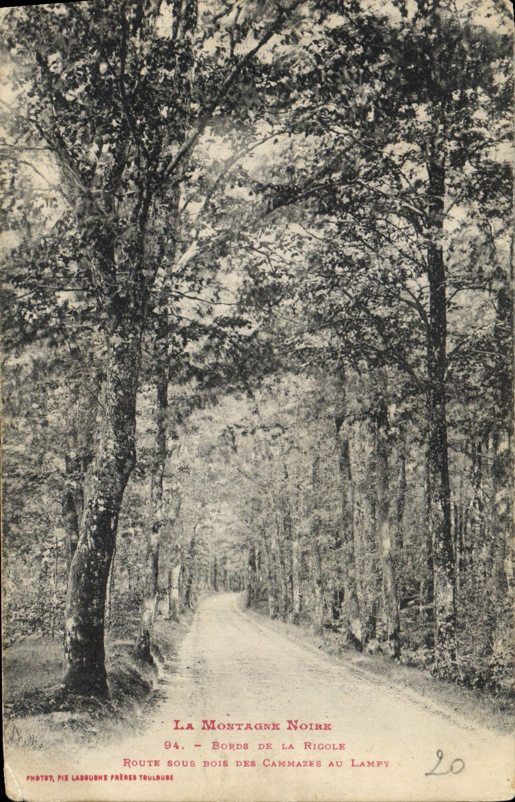 CPA La Montagne Noire Bords de la Rigole Route rous Bois des Canmates 