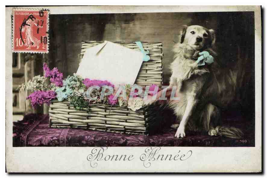 Chien avec panier de fleurs — Bonne Année — éditeur S.99 - Anverso