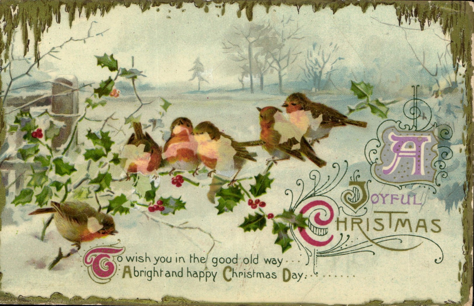 CPA To wish you in the good old way A bright and happy Christmas Day Oiseaux