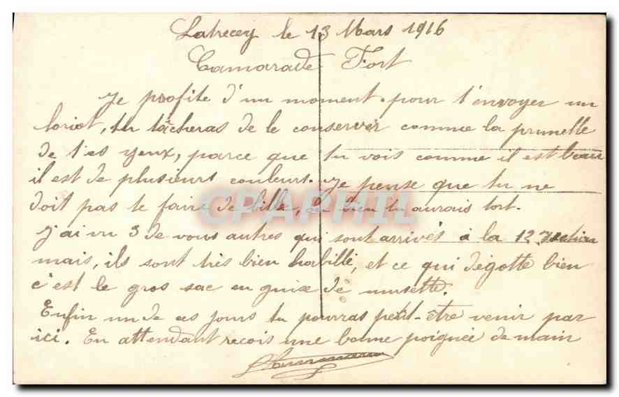 CPA Presages Chien Chat Papillon — Rückseite
