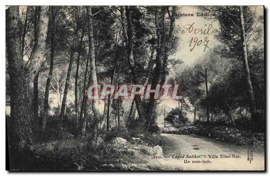 CPA Cap d'Antibes Villa Ellen Roc Un sous bois 