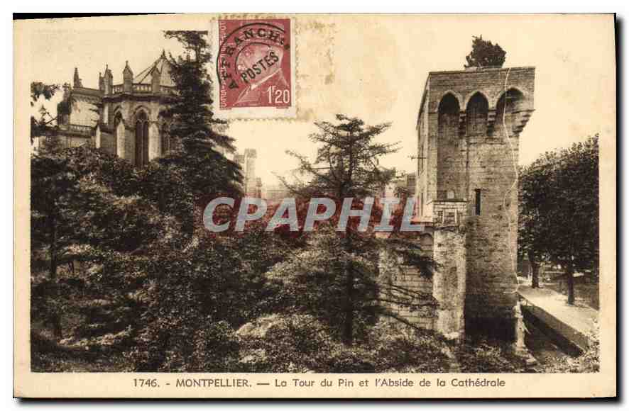 CPA Montpellier la Tour du Pin et l'Abside de la Cathedrale 