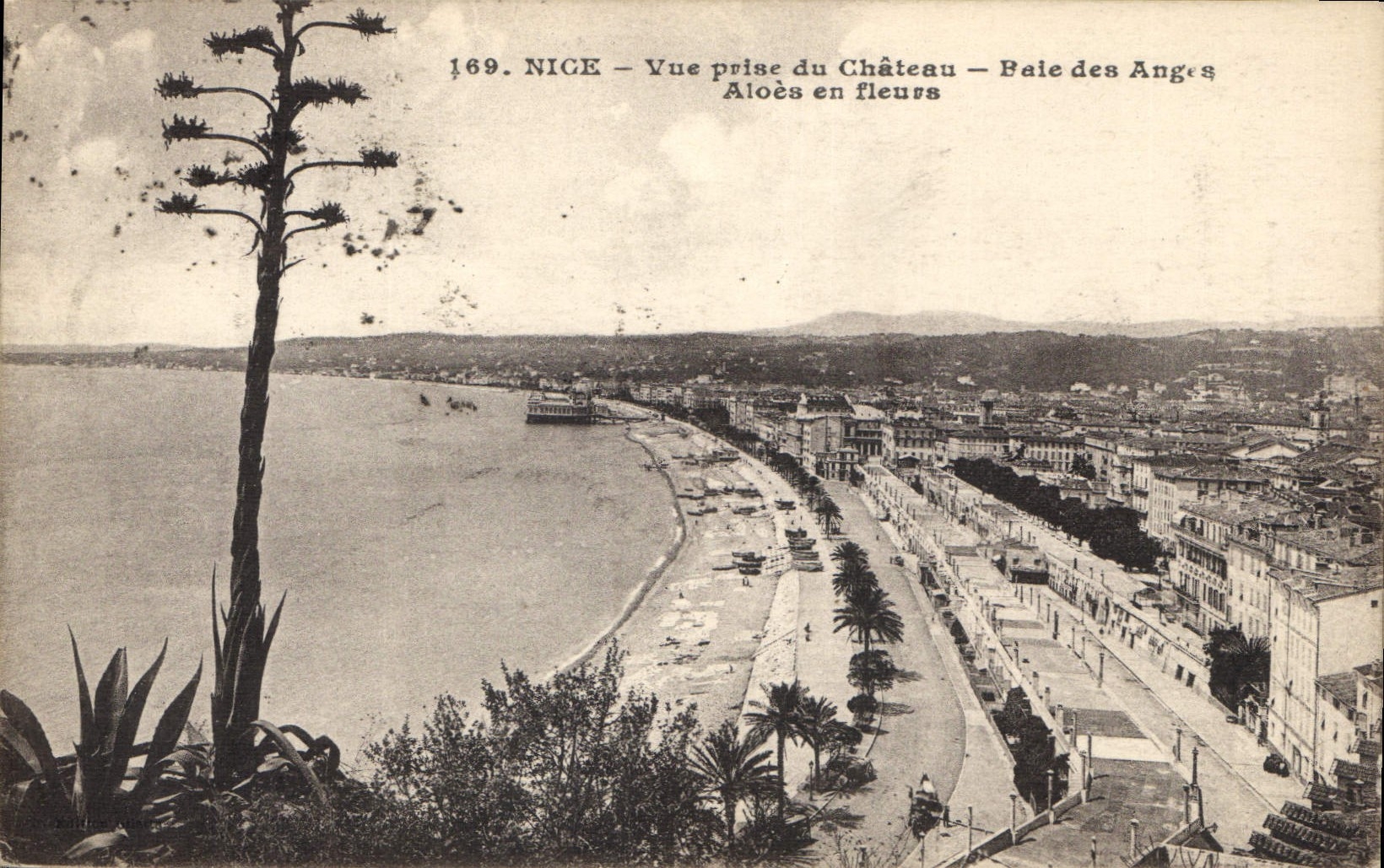 CPA Nice vue prise du Chateau Baie des Anges Aloes en fleurs 