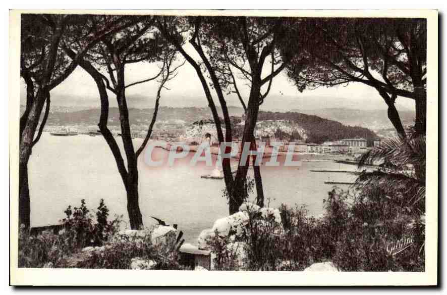 CPA Cote d'Azur Artistique Nice Vue entre les Pins 