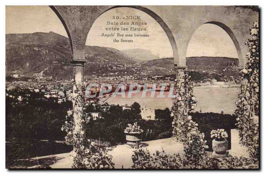 CPA Nice Baie des Anges entre les fleurs 