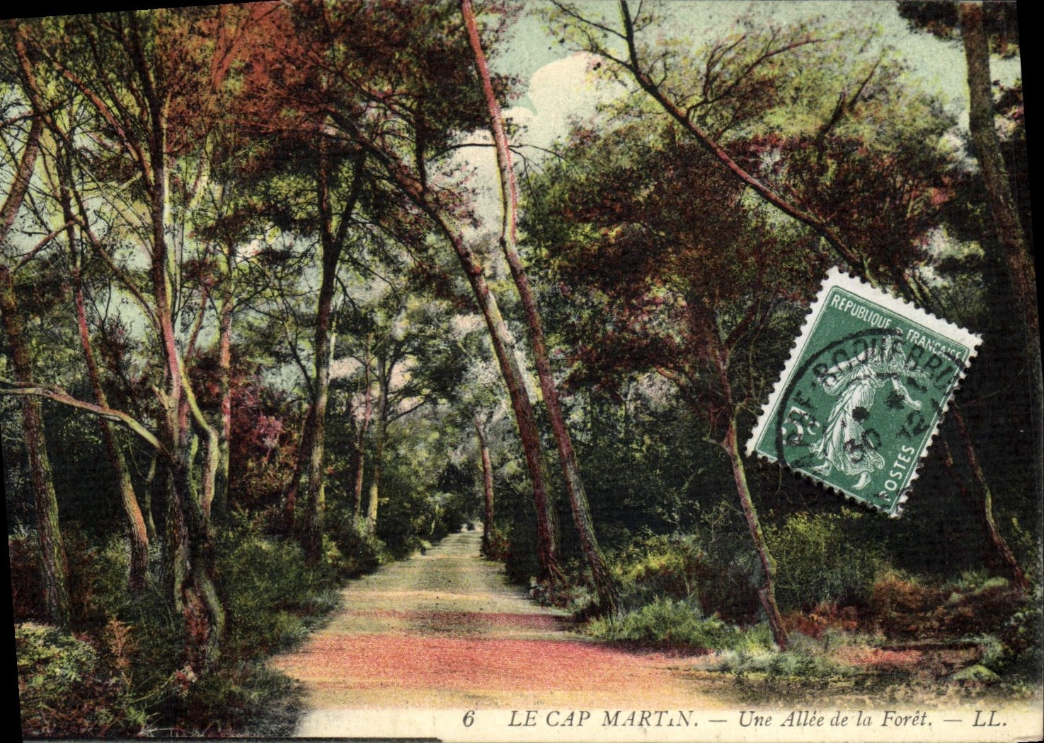 CPA Le Cap Martin Une Allee de la Foret 