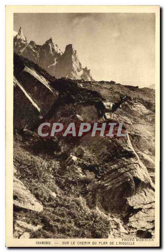 CPA Chamonix sur le Chemin du Plan de lAiguille 