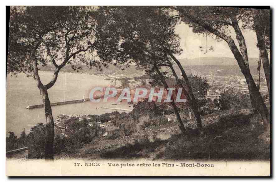 CPA Nice Vue prise entre les Pins Mont Boron 