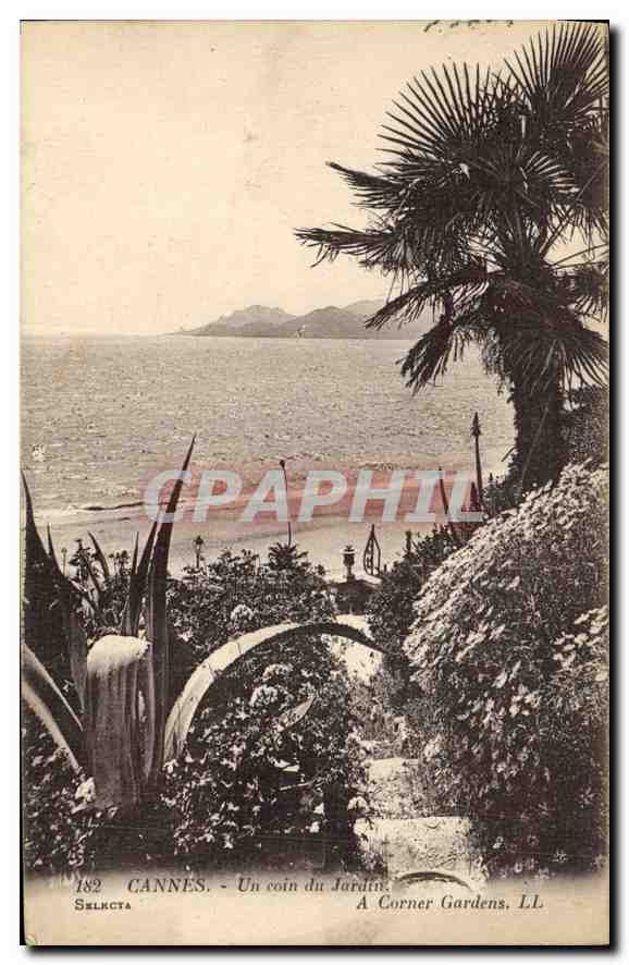 CPA Cannes Un coin du Jardin 