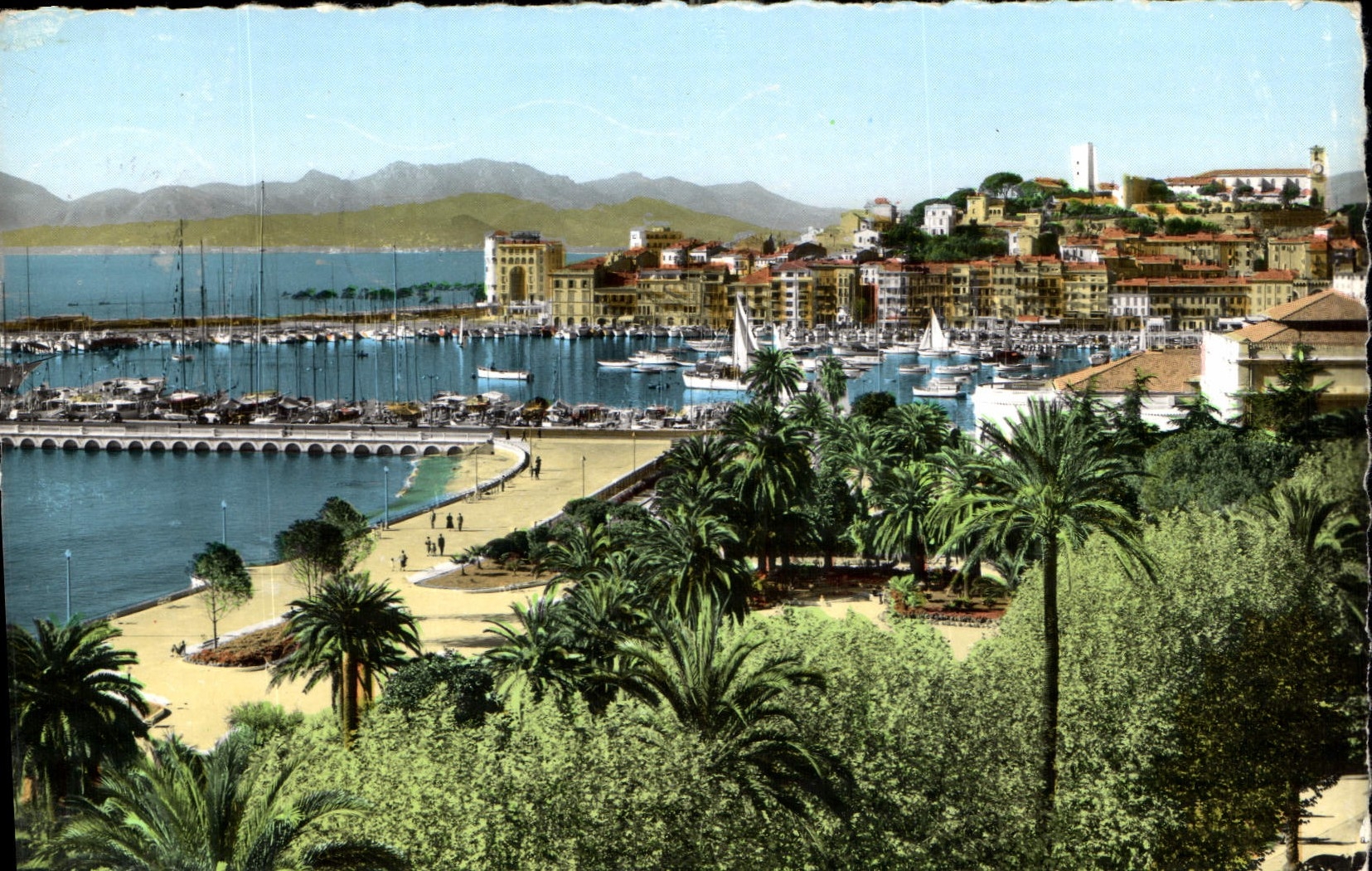 CPA Cannes le Port le Suquet au fond l'Esterel 