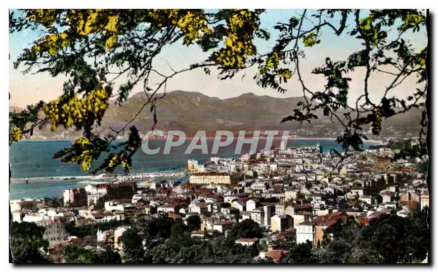 Cannes — Vue générale — Éditions MAR, 4, Édouard de Cimiez