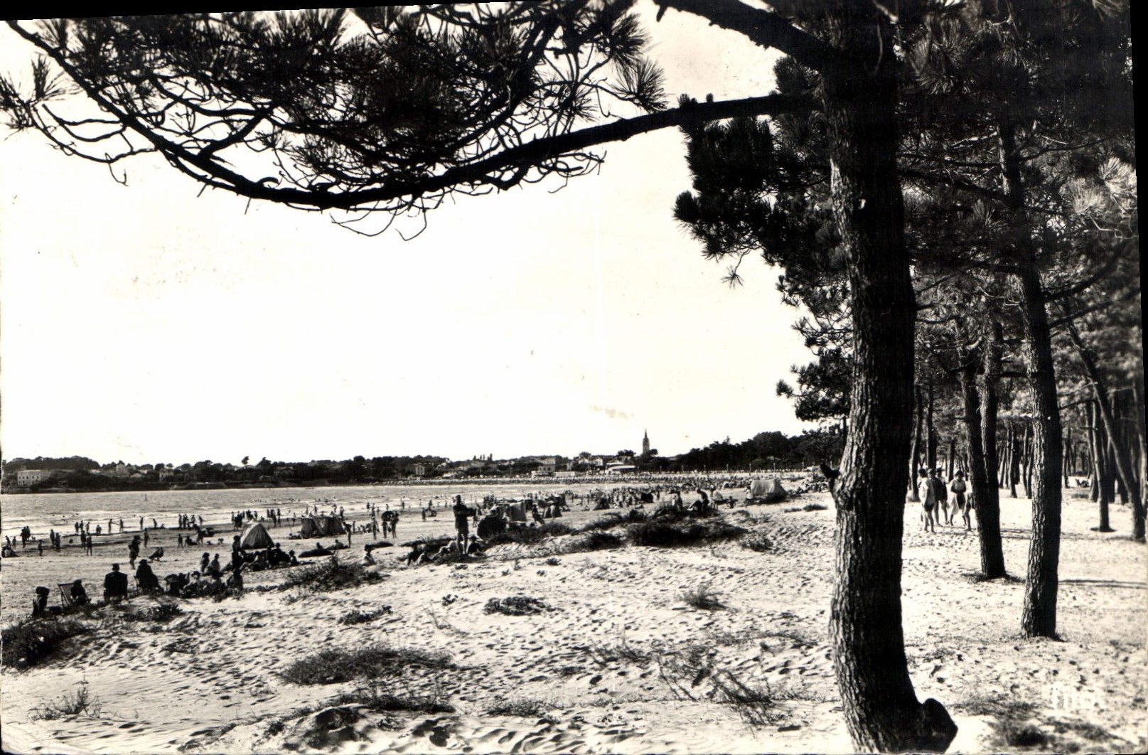 CPA Saint Georges de Didonne La Plage 
