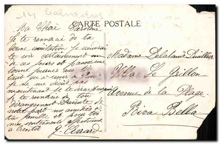 CPA Caen Le Jardin des Plantes les Serres  — Verso
