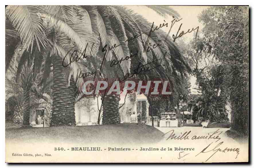 CPA Beaulieu Palmiers Jardins de la Reserve 