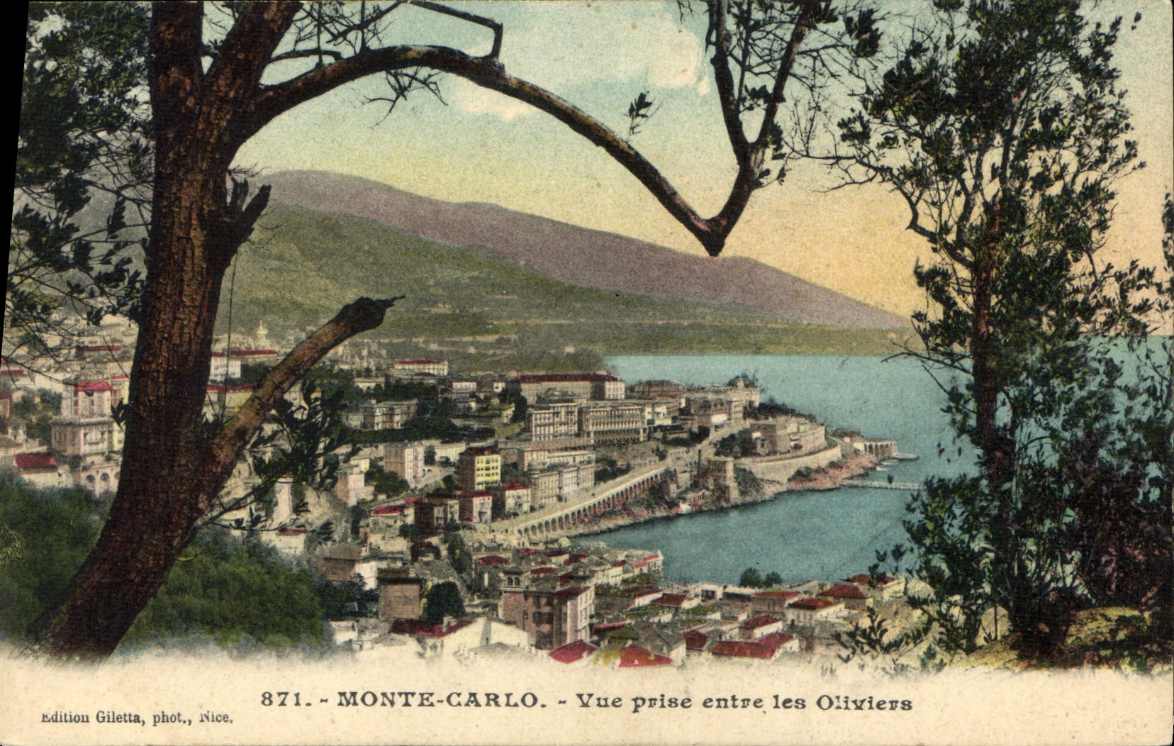 Monte-Carlo — Vue prise entre les Oliviers — Edition Giletta, phot., Nice, n°871