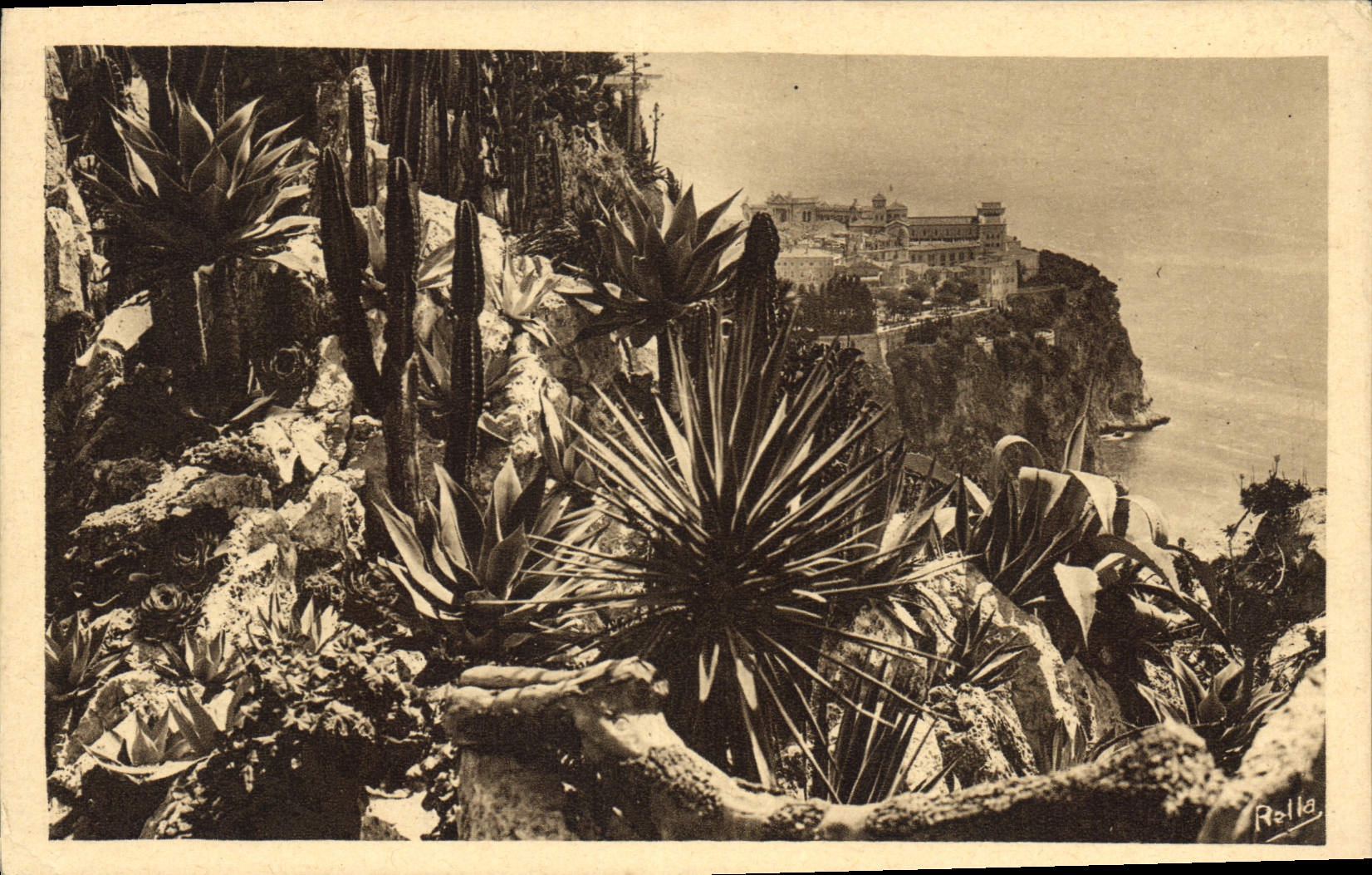 CPA Monte Carlo Les Jardins exotique et le rocher de Monaco 