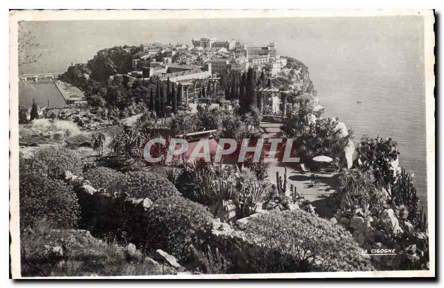 CPA Monaco Le Rocher et les Jardins Exotique 