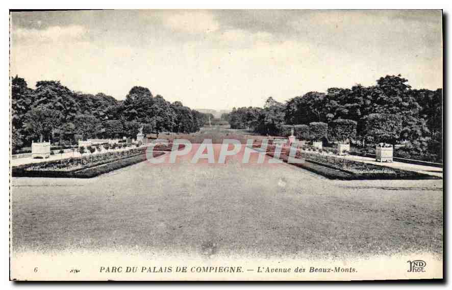 CPA Parc du Palais de Compiegne L'Avenue des Beaux Monts 