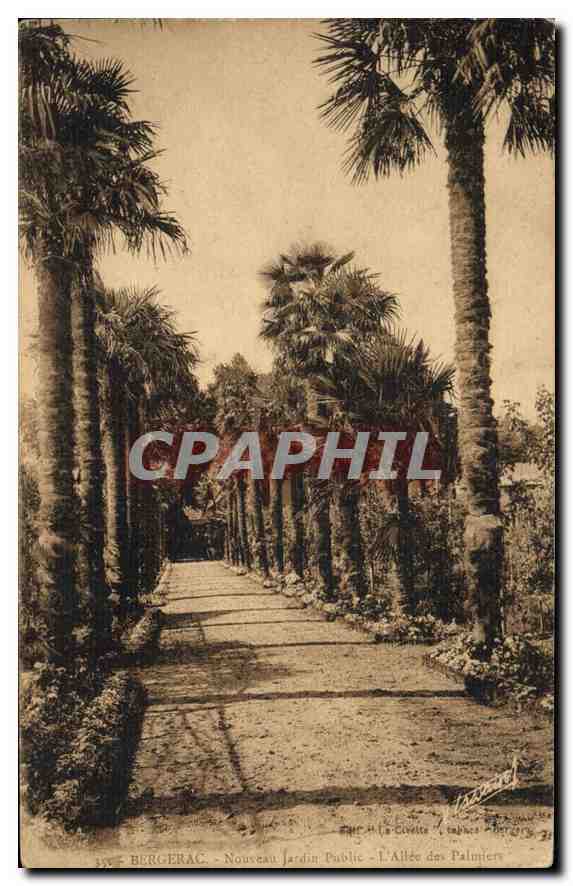 Bergerac - Nouveau Jardin Public - L'Allée des Palmiers