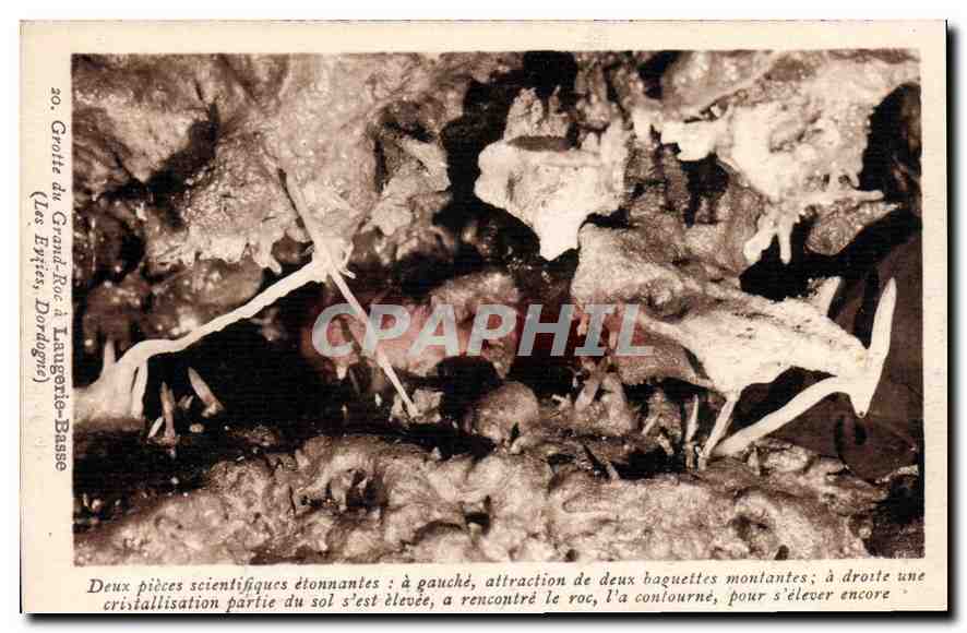 CPA Grotte du Grand Roc a Laugerie Basse les Eyzies Dordogne 