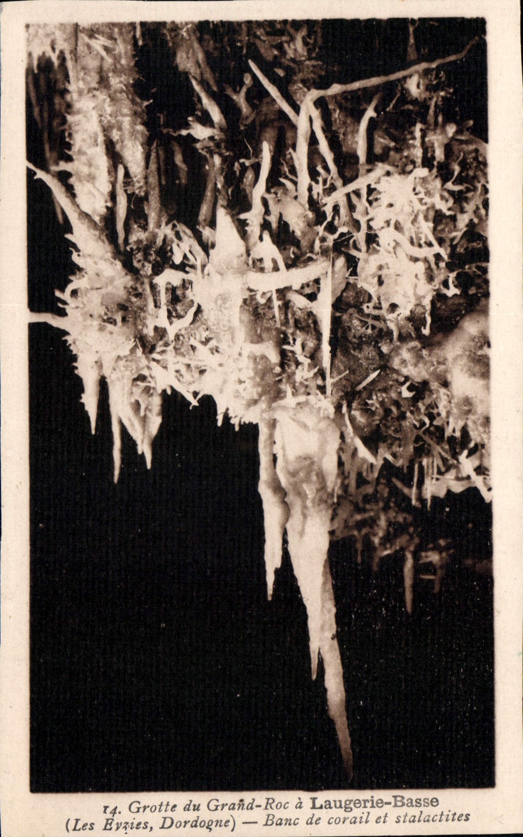 Grand-Roc Cave at Laugerie-Basse — Coral Bench and Stalactites — (Les Eyzies, Dordogne)