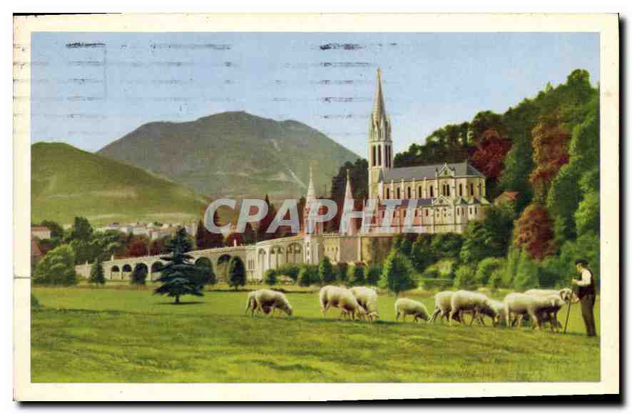 CPA Lourdes La Basilique Vue de la Prairie de la Grotte 