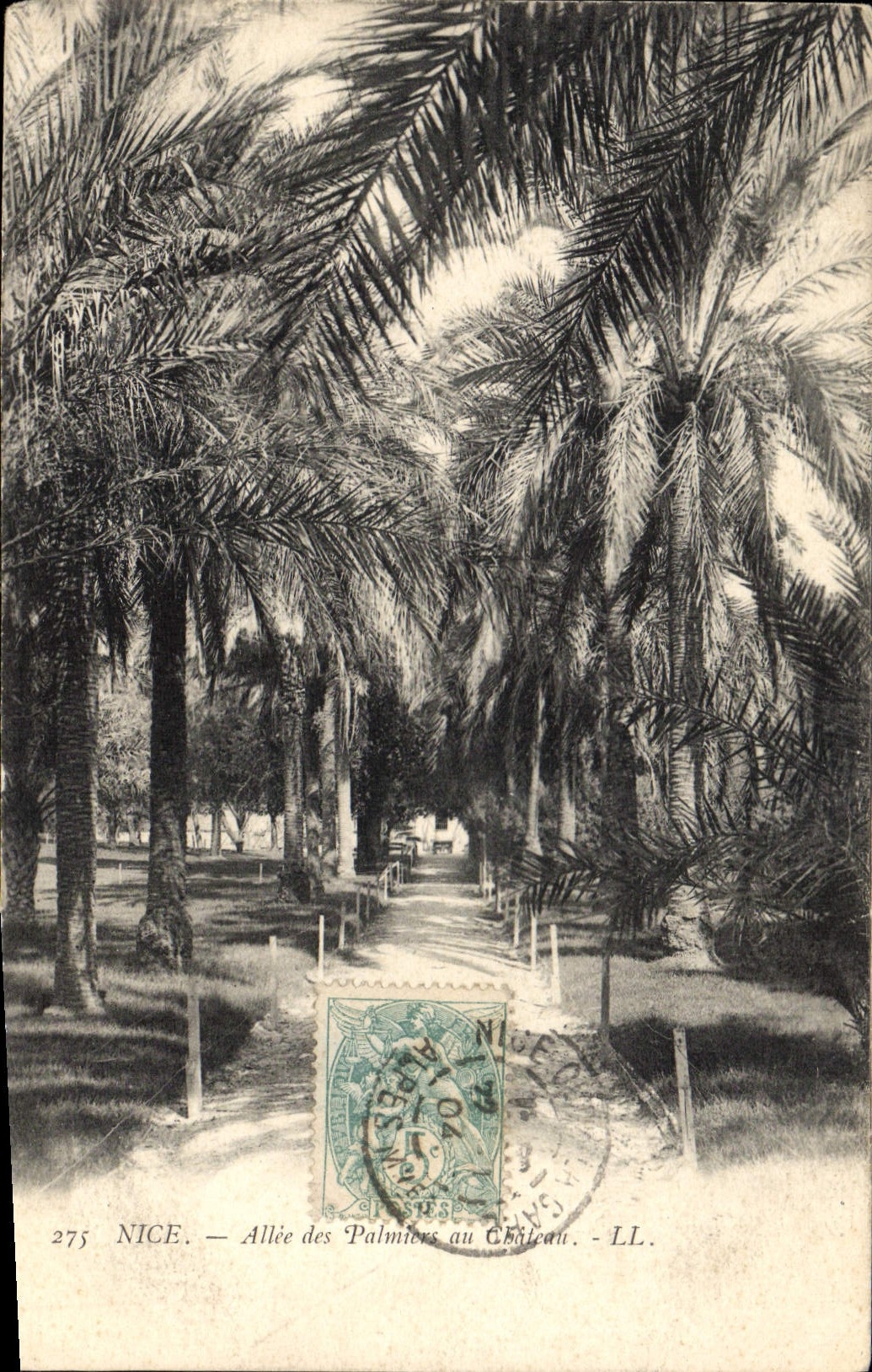 CPA Nice Allee des Palmiers au Chateau 