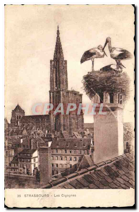 CPA Strasbourg Les Cigognes 
