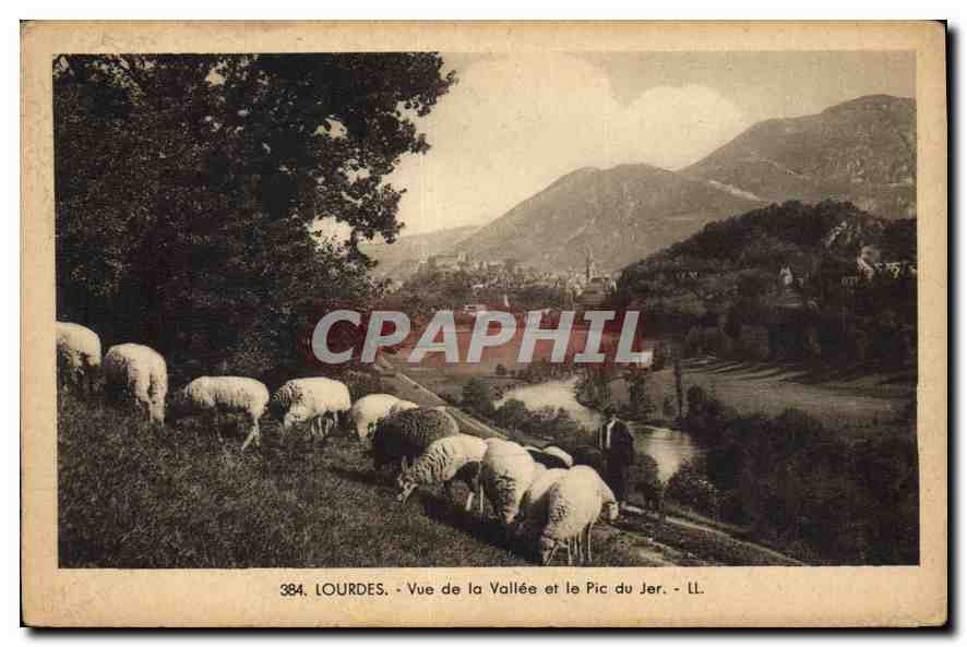 CPA Lourdes Vue de la Vallee et le Pic du Jer 