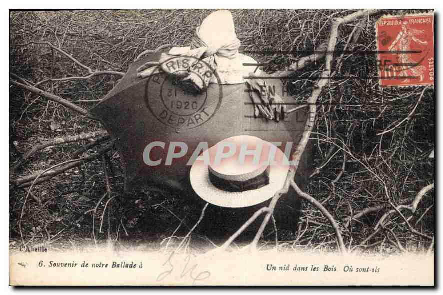 CPA Souvenir de Notre Ballade Un nid dans les Bois Ou sont ils 