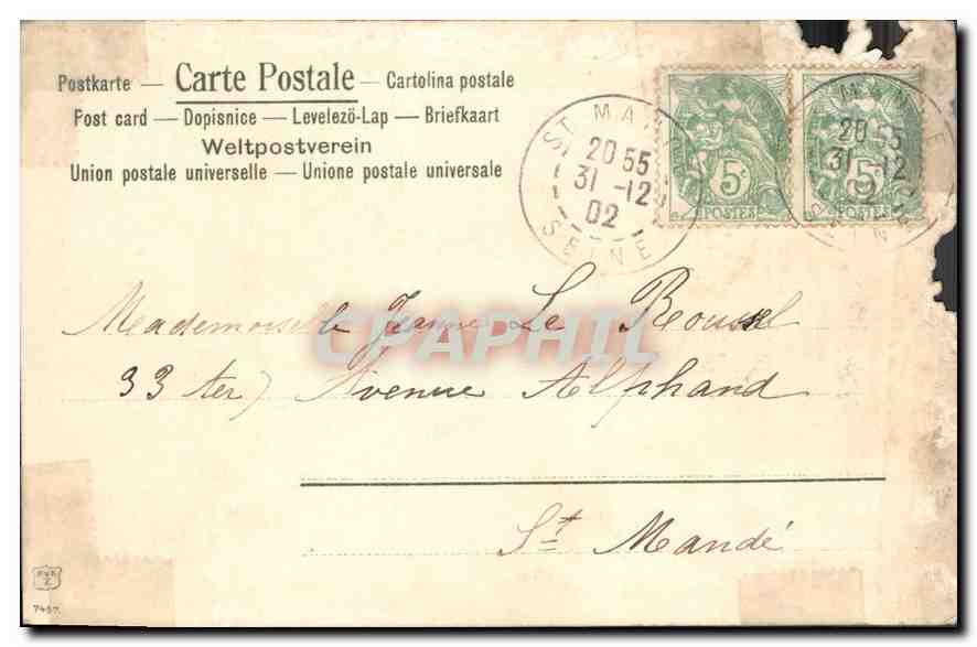 CPA Mes Meilleurs Voeux Cerf Biche — Rückseite