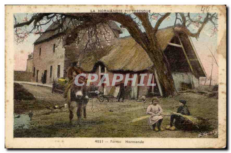 CPA La Normandie Pittoresque Ferme Normande Enfants Folklore Ane Mule