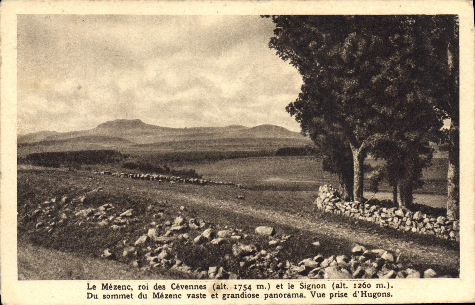 CPA Le Mezenc roi des Cevennes et le Signon 