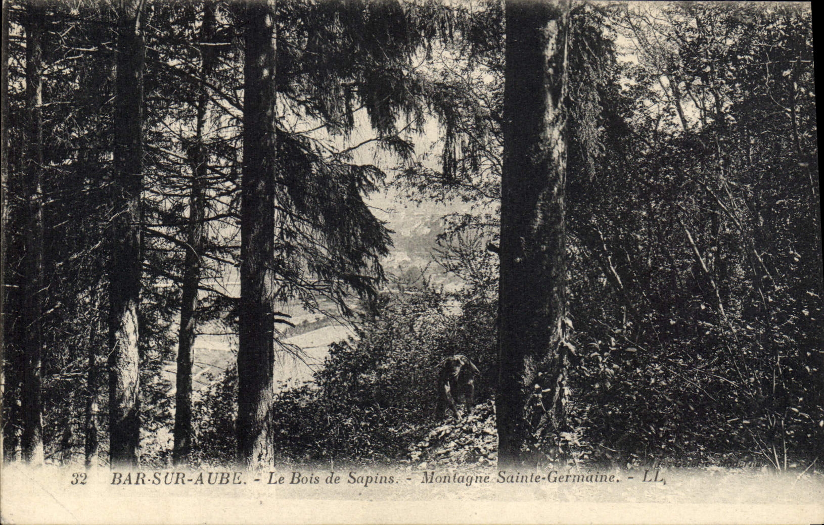 Bar-sur-Aube — Le Bois de Sapins — Montagne Sainte-Germaine — LL