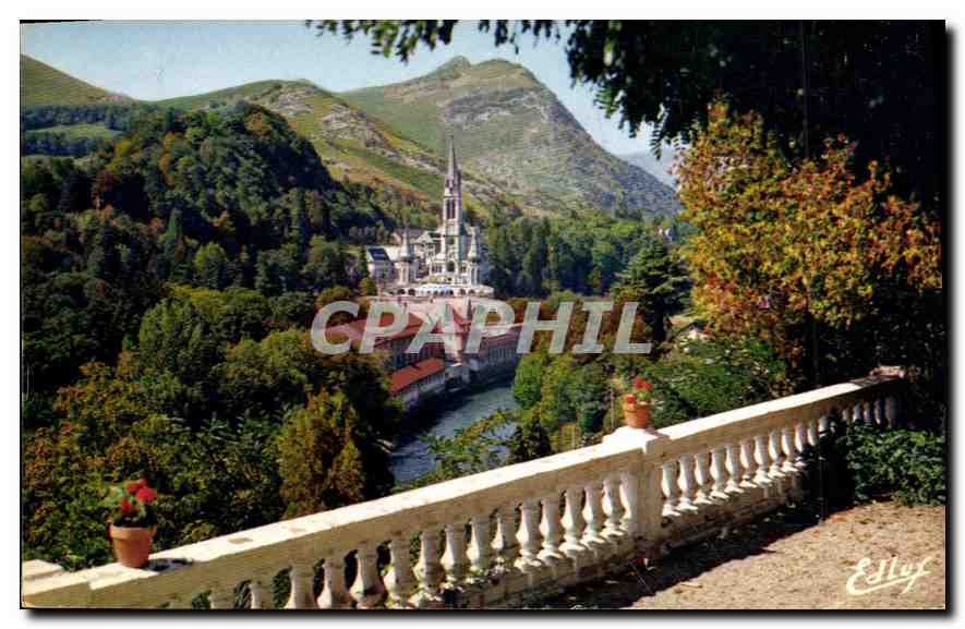 CPA Lourdes La Basilique et le Gave 