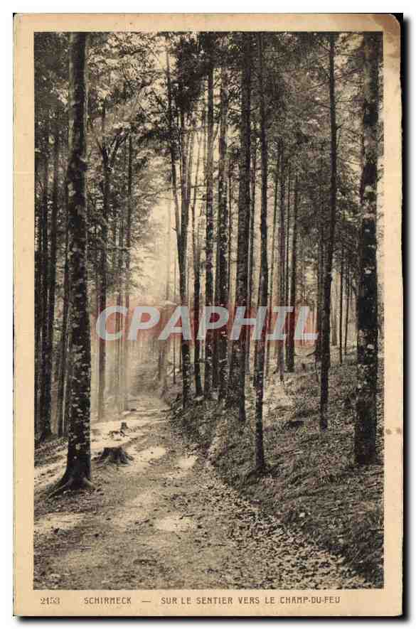 CPA Schirmeck Sur le Sentier vers le Champ du Feu 