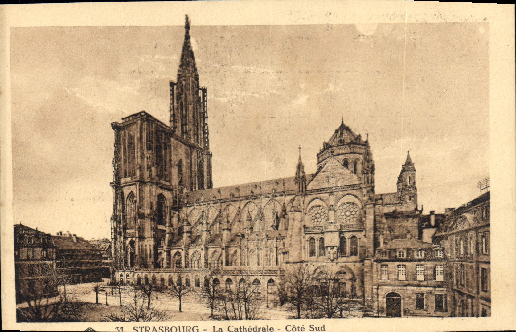 CPA Strasbourg La Cathedrale Cote Sud 