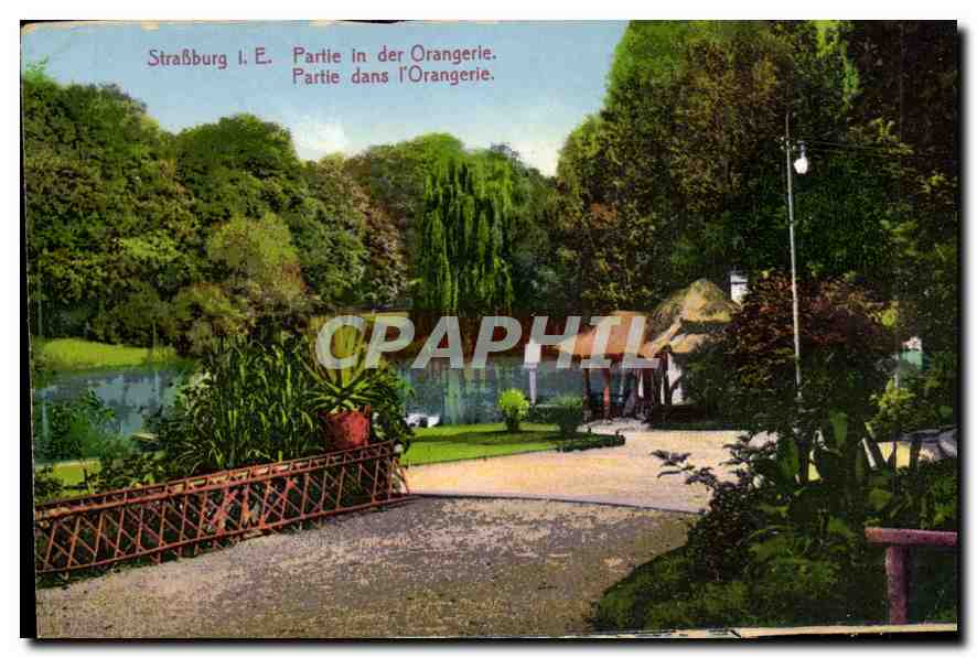 CPA Strasbourg IE Partie in der Orangerie Partie dans l'Orangerie 