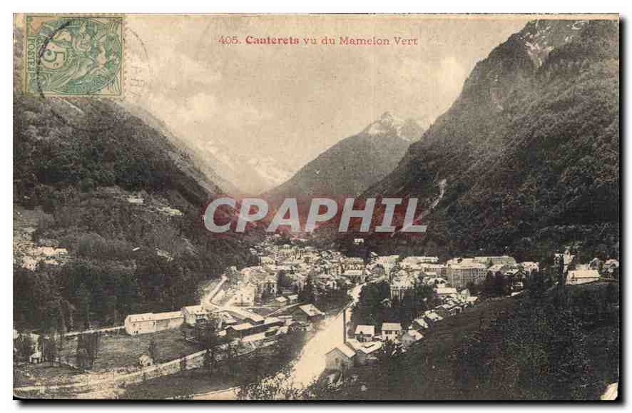 CPA Cauterets vu du Mamelon Vert 
