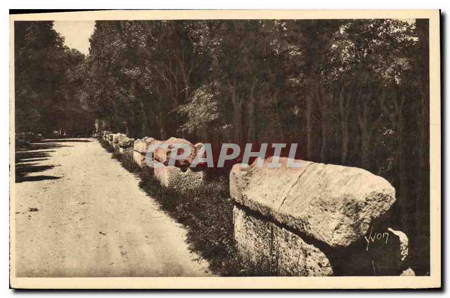 CPA Arles Bouches du Rhone les Alyscamps l'Allee des Tombeaux 