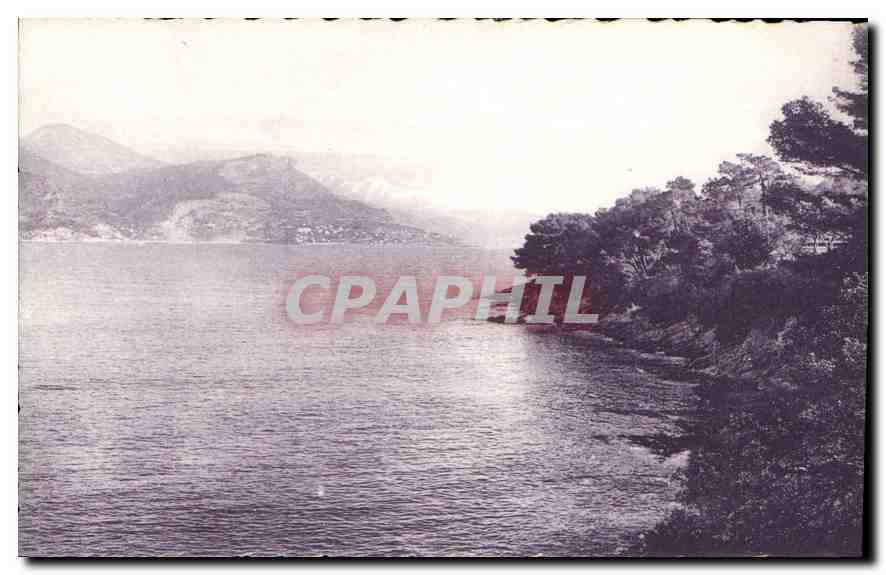 CPA La Cote d'Azur Pittoresque le Cap d'Ail pres du Cap Ferrat 