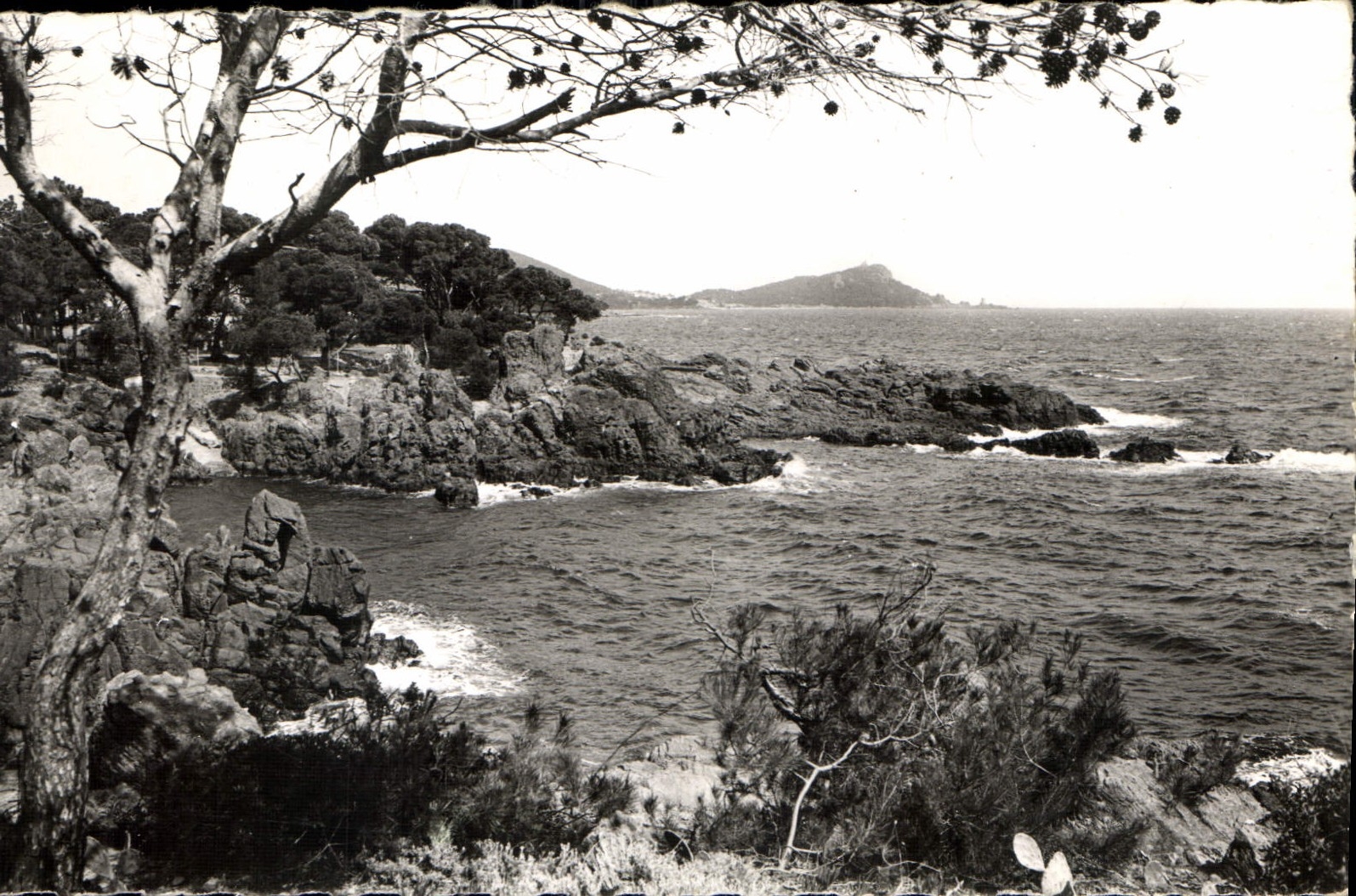 Calanques de Santa-Lucia — Au fond : Le Dramont — Éditions S.E.P.T. - 25, Bd Gorballo - Nice