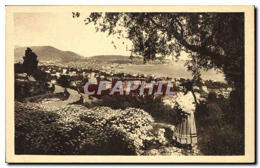 CPA Cote d'Azur Artistique Nice Entre les Fleurs et les Oliviers 