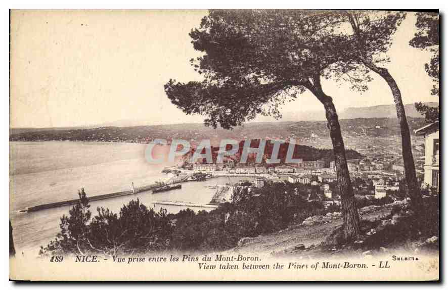CPA Nice vue prise entre les Pins du Mont Boron 