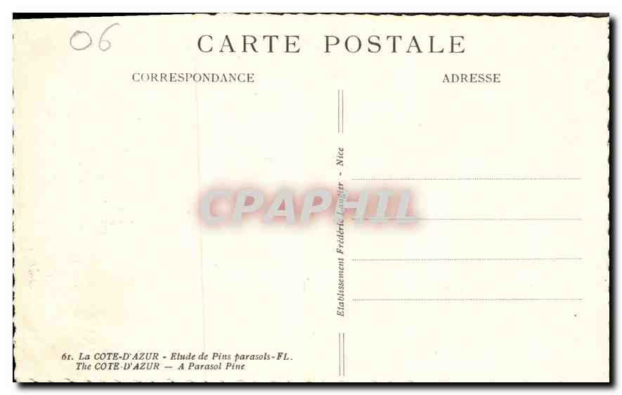 CPA La Cote d'Azur Etude de Pins Parasols  — Rückseite